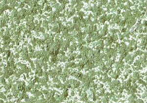 Фиброцементные листы Колор (текстура) киров